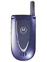 Best available price of Motorola V66i in Papuanewguinea